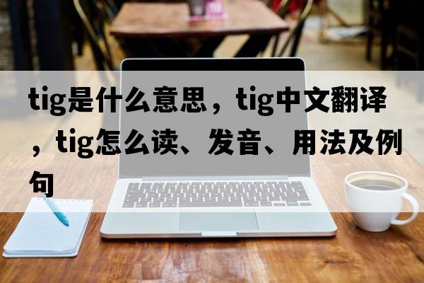 tig是什么意思，tig中文翻譯，tig怎么讀、發(fā)音、用法及例句