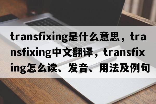 transfixing是什么意思，transfixing中文翻譯，transfixing怎么讀、發(fā)音、用法及例句