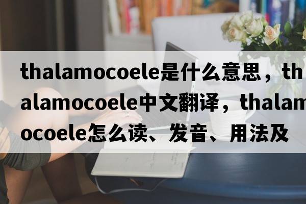 thalamocoele是什么意思，thalamocoele中文翻譯，thalamocoele怎么讀、發(fā)音、用法及例句
