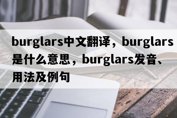 burglars中文翻譯，burglars是什么意思，burglars發(fā)音、用法及例句