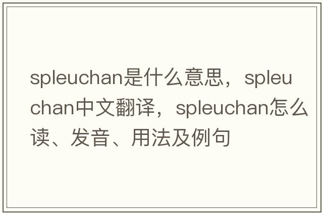spleuchan是什么意思，spleuchan中文翻譯，spleuchan怎么讀、發(fā)音、用法及例句
