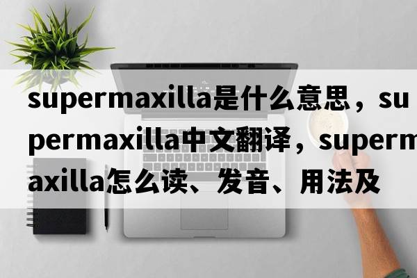 supermaxilla是什么意思，supermaxilla中文翻譯，supermaxilla怎么讀、發(fā)音、用法及例句