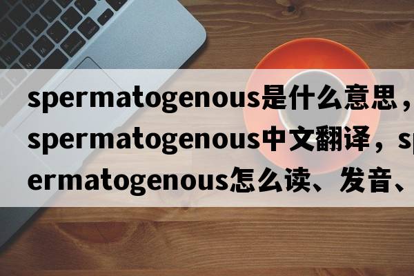 spermatogenous是什么意思，spermatogenous中文翻譯，spermatogenous怎么讀、發(fā)音、用法及例句