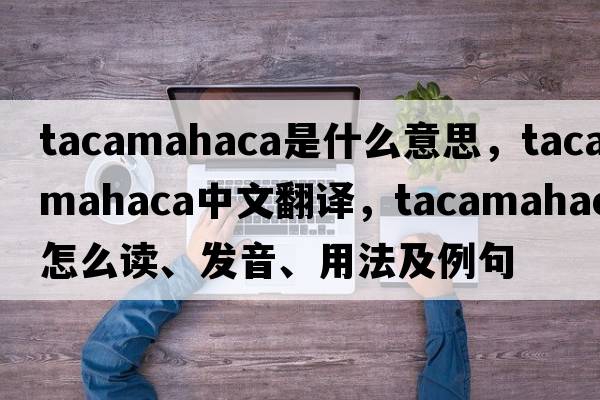 tacamahaca是什么意思，tacamahaca中文翻譯，tacamahaca怎么讀、發(fā)音、用法及例句