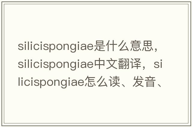 Silicispongiae是什么意思，Silicispongiae中文翻譯，Silicispongiae怎么讀、發(fā)音、用法及例句