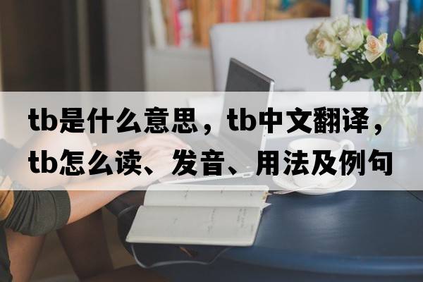 tb是什么意思，tb中文翻譯，tb怎么讀、發(fā)音、用法及例句
