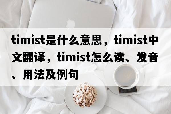 timist是什么意思，timist中文翻譯，timist怎么讀、發(fā)音、用法及例句