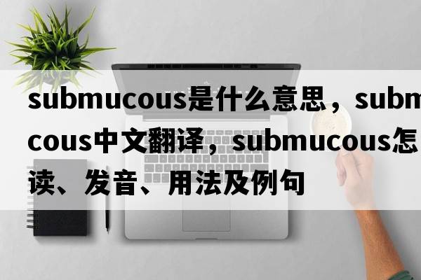 submucous是什么意思，submucous中文翻譯，submucous怎么讀、發(fā)音、用法及例句