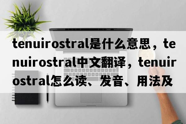 tenuirostral是什么意思，tenuirostral中文翻譯，tenuirostral怎么讀、發(fā)音、用法及例句