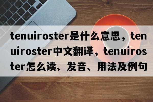 tenuiroster是什么意思，tenuiroster中文翻譯，tenuiroster怎么讀、發(fā)音、用法及例句