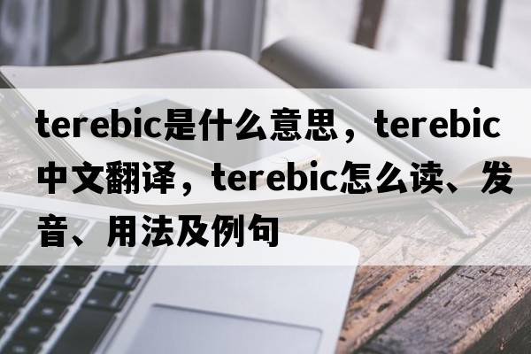 terebic是什么意思，terebic中文翻譯，terebic怎么讀、發(fā)音、用法及例句