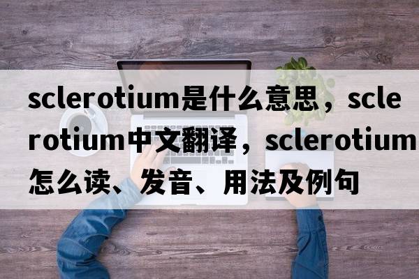 sclerotium是什么意思，sclerotium中文翻譯，sclerotium怎么讀、發(fā)音、用法及例句