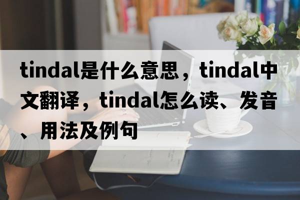tindal是什么意思，tindal中文翻譯，tindal怎么讀、發(fā)音、用法及例句