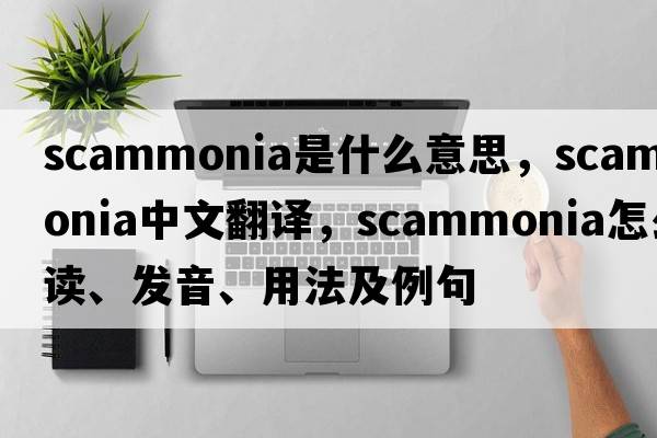 scammonia是什么意思，scammonia中文翻譯，scammonia怎么讀、發(fā)音、用法及例句
