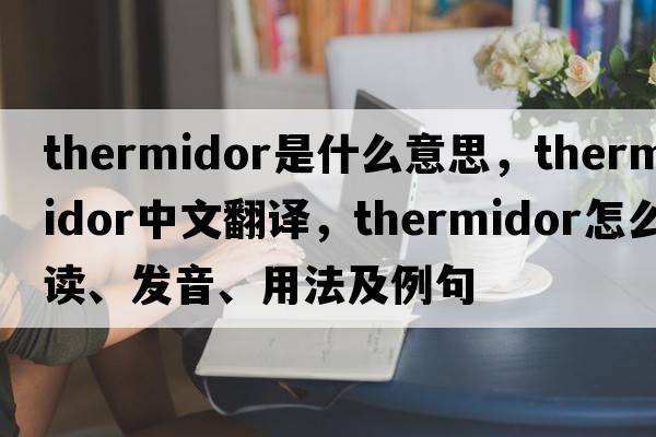 Thermidor是什么意思，Thermidor中文翻譯，Thermidor怎么讀、發(fā)音、用法及例句