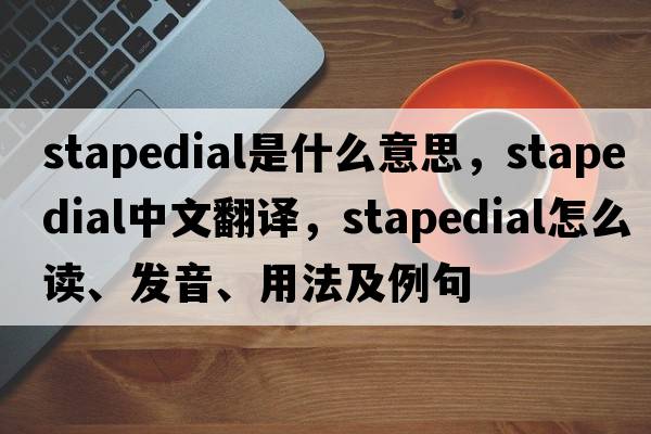 stapedial是什么意思，stapedial中文翻譯，stapedial怎么讀、發(fā)音、用法及例句