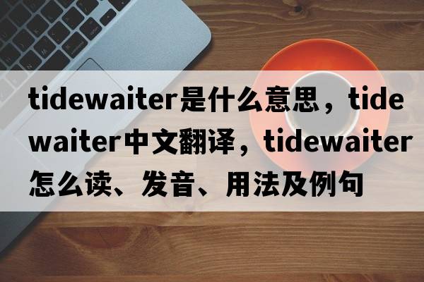 tidewaiter是什么意思，tidewaiter中文翻譯，tidewaiter怎么讀、發(fā)音、用法及例句
