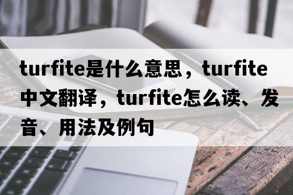 turfite是什么意思，turfite中文翻譯，turfite怎么讀、發(fā)音、用法及例句