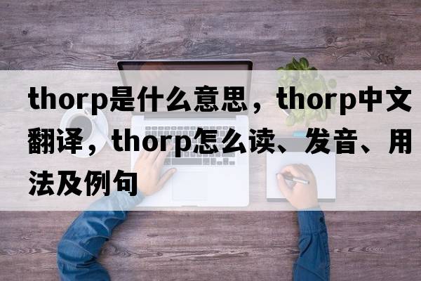 thorp是什么意思，thorp中文翻譯，thorp怎么讀、發(fā)音、用法及例句