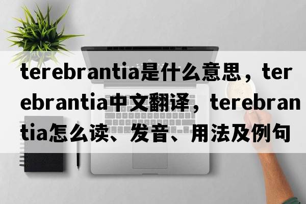 terebrantia是什么意思，terebrantia中文翻譯，terebrantia怎么讀、發(fā)音、用法及例句