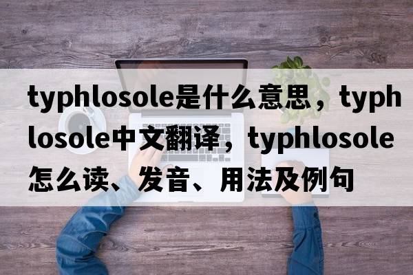 typhlosole是什么意思，typhlosole中文翻譯，typhlosole怎么讀、發(fā)音、用法及例句