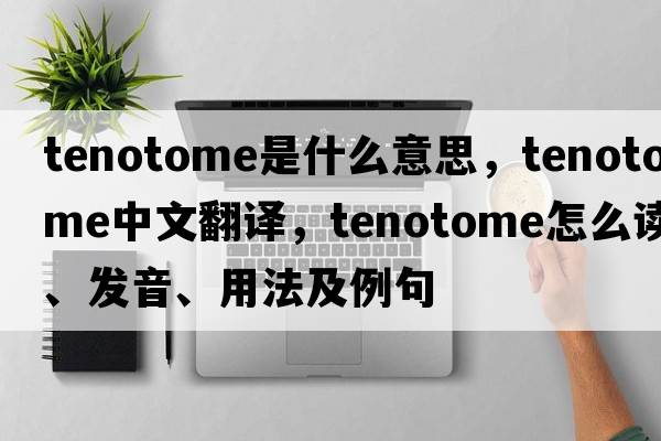 tenotome是什么意思，tenotome中文翻譯，tenotome怎么讀、發(fā)音、用法及例句
