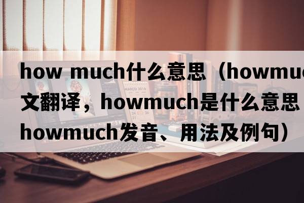 how much什么意思（howmuch中文翻譯，howmuch是什么意思，howmuch發(fā)音、用法及例句）
