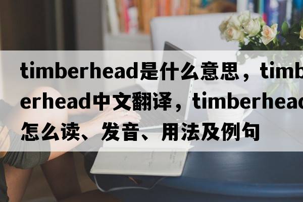 timberhead是什么意思，timberhead中文翻譯，timberhead怎么讀、發(fā)音、用法及例句