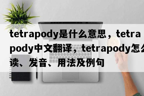 tetrapody是什么意思，tetrapody中文翻譯，tetrapody怎么讀、發(fā)音、用法及例句