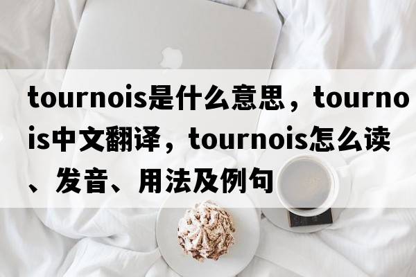 tournois是什么意思，tournois中文翻譯，tournois怎么讀、發(fā)音、用法及例句