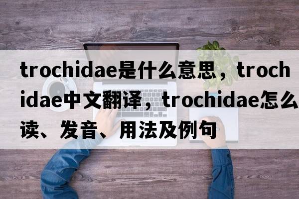 Trochidae是什么意思，Trochidae中文翻譯，Trochidae怎么讀、發(fā)音、用法及例句