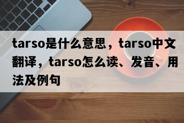tarso是什么意思，tarso中文翻譯，tarso怎么讀、發(fā)音、用法及例句