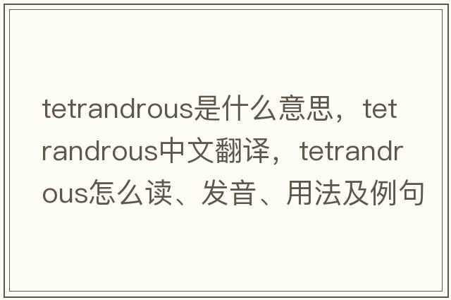tetrandrous是什么意思，tetrandrous中文翻譯，tetrandrous怎么讀、發(fā)音、用法及例句