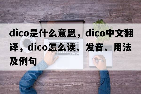 dico是什么意思，dico中文翻譯，dico怎么讀、發(fā)音、用法及例句