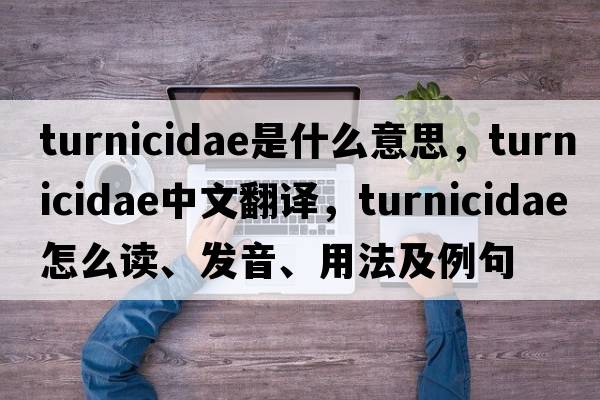 Turnicidae是什么意思，Turnicidae中文翻譯，Turnicidae怎么讀、發(fā)音、用法及例句