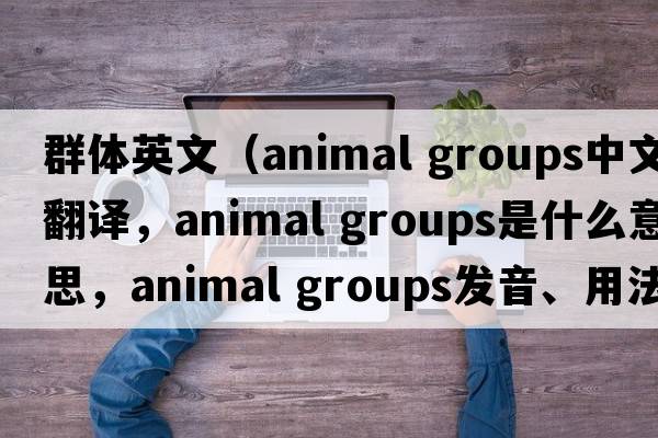 群體英文（animal groups中文翻譯，animal groups是什么意思，animal groups發(fā)音、用法及例句）