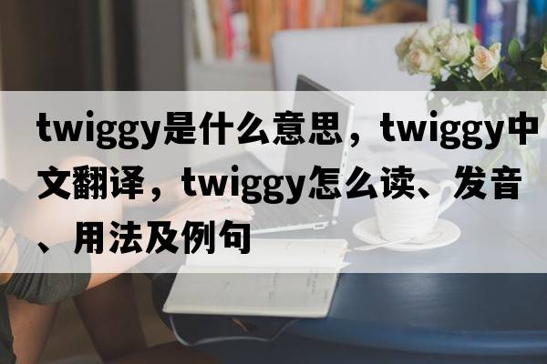 twiggy是什么意思，twiggy中文翻譯，twiggy怎么讀、發(fā)音、用法及例句