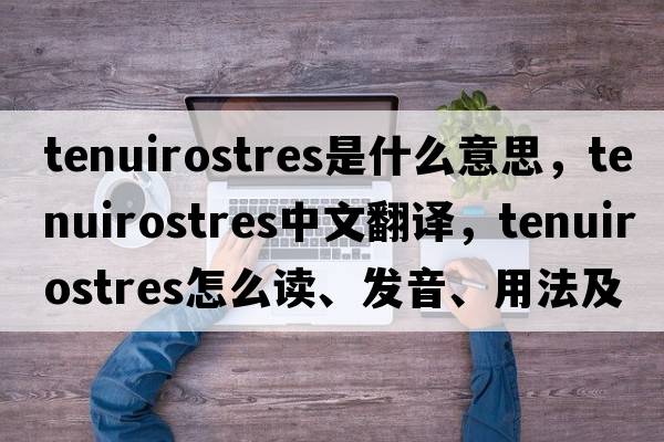 Tenuirostres是什么意思，Tenuirostres中文翻譯，Tenuirostres怎么讀、發(fā)音、用法及例句