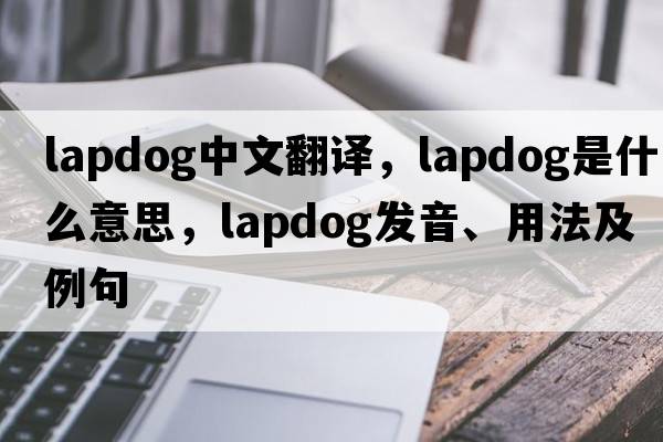 lapdog中文翻譯，lapdog是什么意思，lapdog發(fā)音、用法及例句