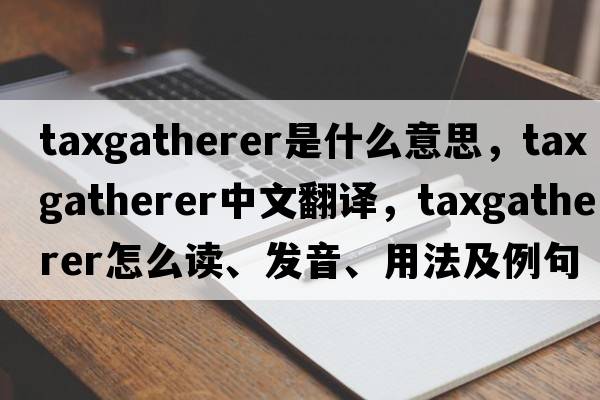 taxgatherer是什么意思，taxgatherer中文翻譯，taxgatherer怎么讀、發(fā)音、用法及例句