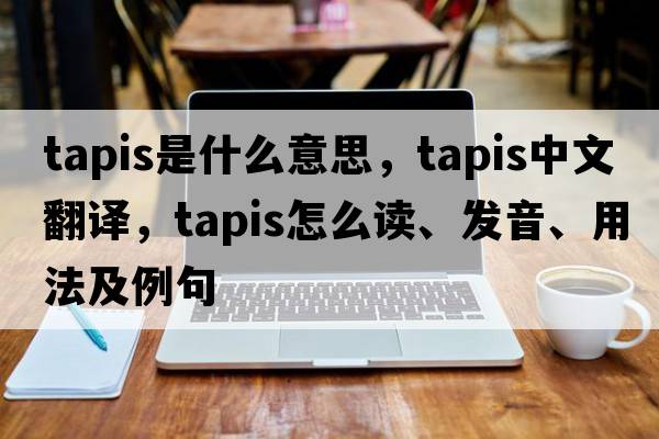 tapis是什么意思，tapis中文翻譯，tapis怎么讀、發(fā)音、用法及例句