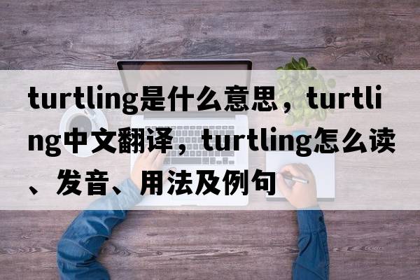 turtling是什么意思，turtling中文翻譯，turtling怎么讀、發(fā)音、用法及例句