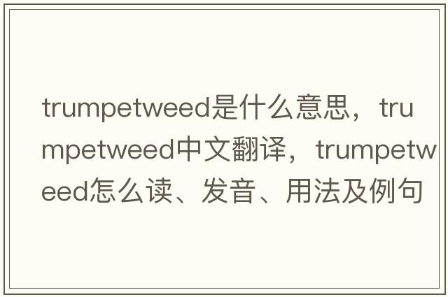 trumpetweed是什么意思，trumpetweed中文翻譯，trumpetweed怎么讀、發(fā)音、用法及例句