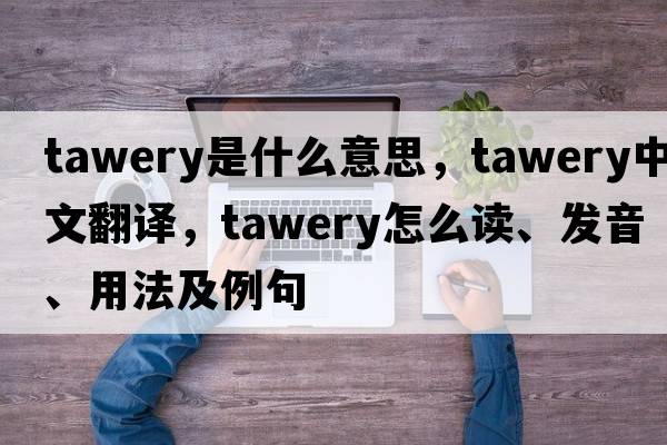 tawery是什么意思，tawery中文翻譯，tawery怎么讀、發(fā)音、用法及例句