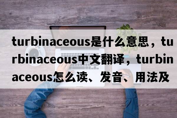 turbinaceous是什么意思，turbinaceous中文翻譯，turbinaceous怎么讀、發(fā)音、用法及例句
