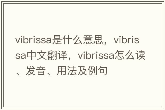 vibrissa是什么意思，vibrissa中文翻譯，vibrissa怎么讀、發(fā)音、用法及例句