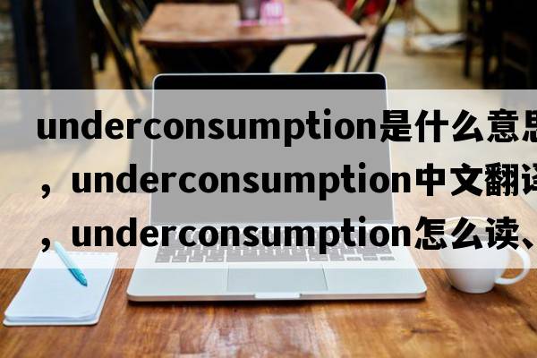 underconsumption是什么意思，underconsumption中文翻譯，underconsumption怎么讀、發(fā)音、用法及例句