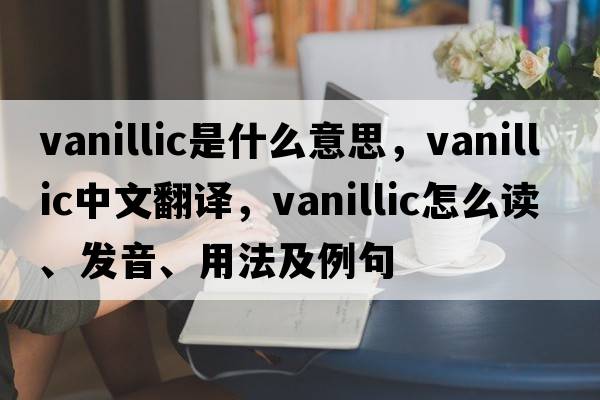 vanillic是什么意思，vanillic中文翻譯，vanillic怎么讀、發(fā)音、用法及例句