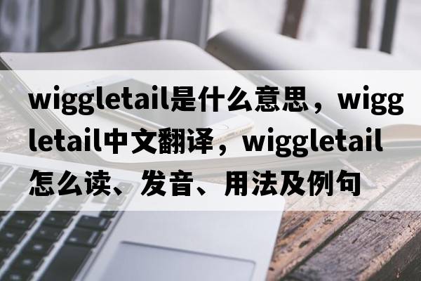 wiggletail是什么意思，wiggletail中文翻譯，wiggletail怎么讀、發(fā)音、用法及例句