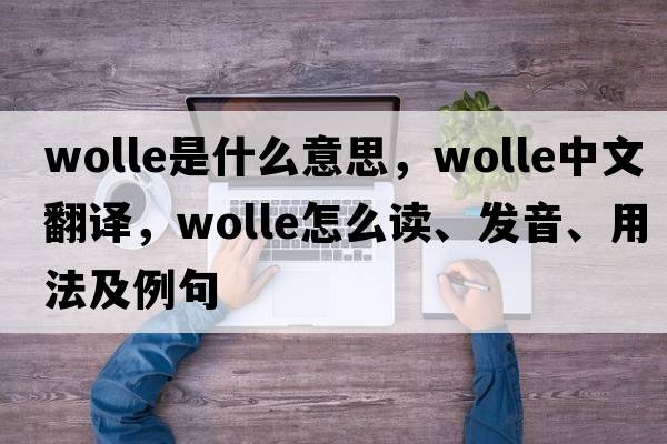 Wolle是什么意思，Wolle中文翻譯，Wolle怎么讀、發(fā)音、用法及例句